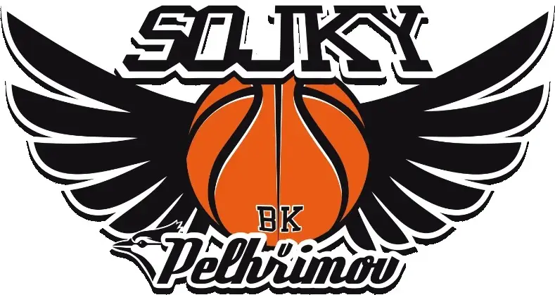 Basketbal - BK Sojky Pelhřimov