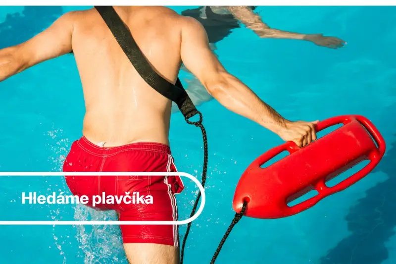 Nabídka práce